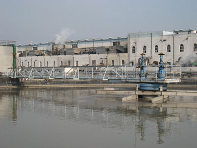 ZXG�����Ă��ӹ����C